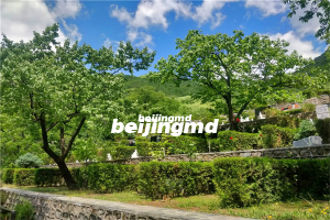 九公山陵园墓地价格一览表2024年的！