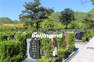 天山陵园墓地费用