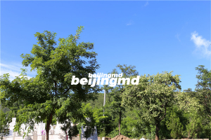 为什么北京周如边卧龙公墓此受欢迎？