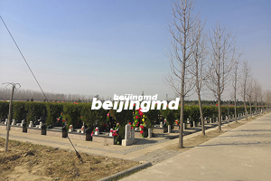 购买北京八大公墓购墓注意事项？这些方面需要留意