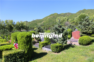 天津玉佛寺寝宫价格介绍