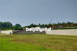 “抗疫情·守初心·担使命”北京殡葬2023纪实报道