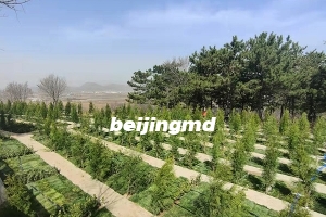 北京市33家合法经营性公墓有哪些？