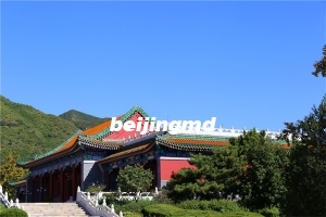 北京树葬怎么办理？北京树葬公墓哪里有？北京树葬需要多少钱？