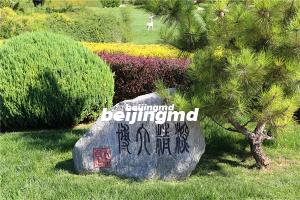 论目前推行生态葬的意义和难点