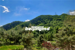 朝阳陵园怎么样？朝阳陵园是背山面水的格局吗？