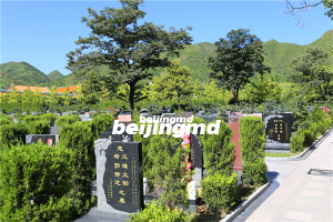 九里山公墓二区详情及公墓价格一览表？