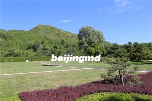 北京惠灵山陵园价格表
