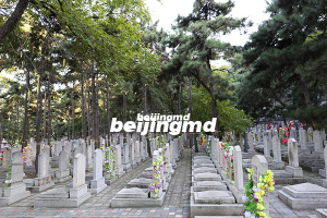 长青园骨灰林地理位置在哪、价格一览以及电话介绍