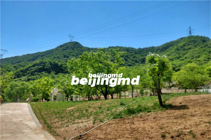 北京九里山公墓二区地址在哪里？