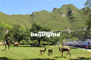 北京和周边陵园对比，怀思堂和玉佛寺寝宫该怎么选？