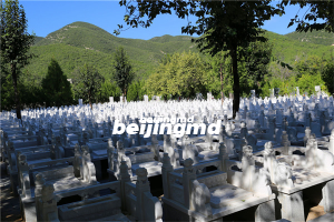 北京昌平佛山陵园简介、环境、服务怎么样？