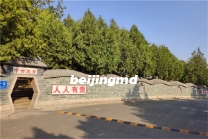 清东陵旁边的墓地是哪一家