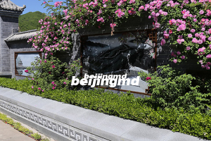 殡葬改革需处理好十方面关系