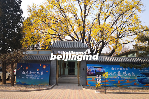95后小哥代客祭扫：这份工作是在积德行善