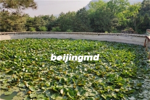 昌平陵园主要集中在哪里？价格如何？