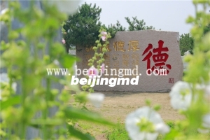 陵园环境