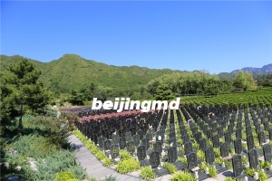 炎黄陵园墓地价格查询
