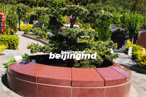 九公山长城纪念林铁军纪念园环境怎么样？