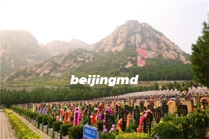 朝阳区的公墓都在什么地方？墓地价格大概是多少？