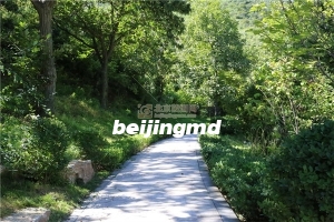 北京哪些区县只有一个陵园？这些陵园怎么样？