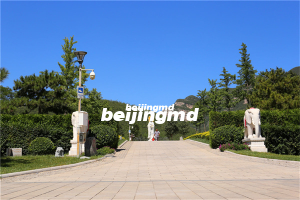 八达岭陵园寒衣送暖暖人心