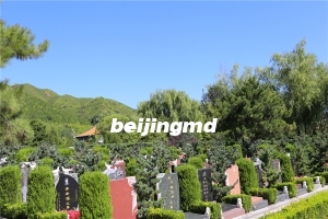 北京宝云岭墓园墓地有多大