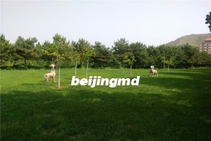 佛山陵园买墓地优惠政策