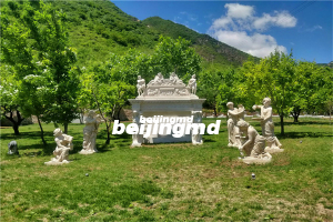 走访北京天寿陵园，记央视新闻评论部陈虻