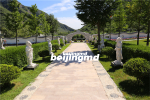 电影《你的到来》剧组来到灵山宝塔陵园进行取景拍摄