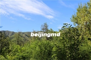 北京周边墓地价格一览表？北京周边墓地哪里便宜点