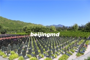 天慈墓园买墓地有期限吗
