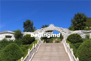 2023年民政部在殡葬服务领域的大数据应用