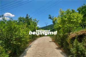 殡葬从业者说一说什么是殡葬文化？