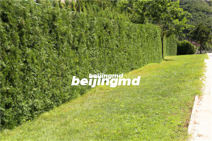 农村丧葬改革争论不休，国家严查整顿4类行为