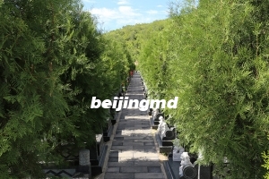 北京海淀墓地长安陵园和温泉墓园哪个墓地的上风上水好？