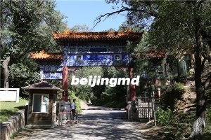 天寿陵园咨询（联系）电话多少？天寿陵园树葬类型几种价格贵吗？