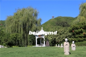 花坛葬是什么意思？花坛葬需要多少钱？