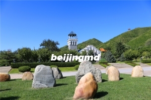 长青园骨灰林的墓地