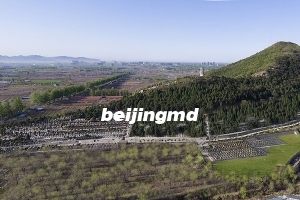 现在买个墓地需要多少钱？
