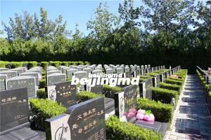 【北京天寿陵园】探究遗体防腐的佛学意义