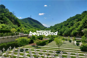 什么是树葬，九公山树葬介绍