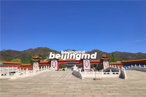 天寿陵园举行首届公益节地生态集体安葬仪式