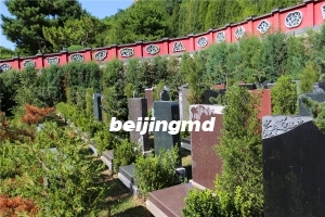 现在朝阳陵园还需预约吗