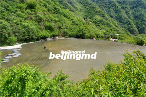 绿色葬礼，大家都了解多少？