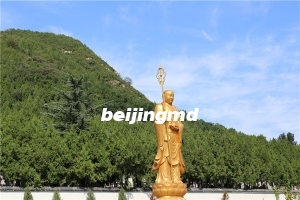 北京市哪里有树葬公墓？一般需要多少钱？