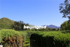 华夏陵园墓地价格最低多少钱？如何预约选墓