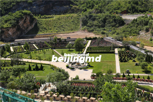 广州市民政局说即日起有序恢复殡葬公共服务！