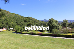 佛山陵园：静谧永恒的家园