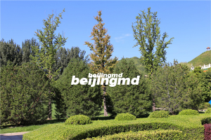 北京殡仪馆骨灰寄存价格是多少？灰寄存到期后必须取走吗